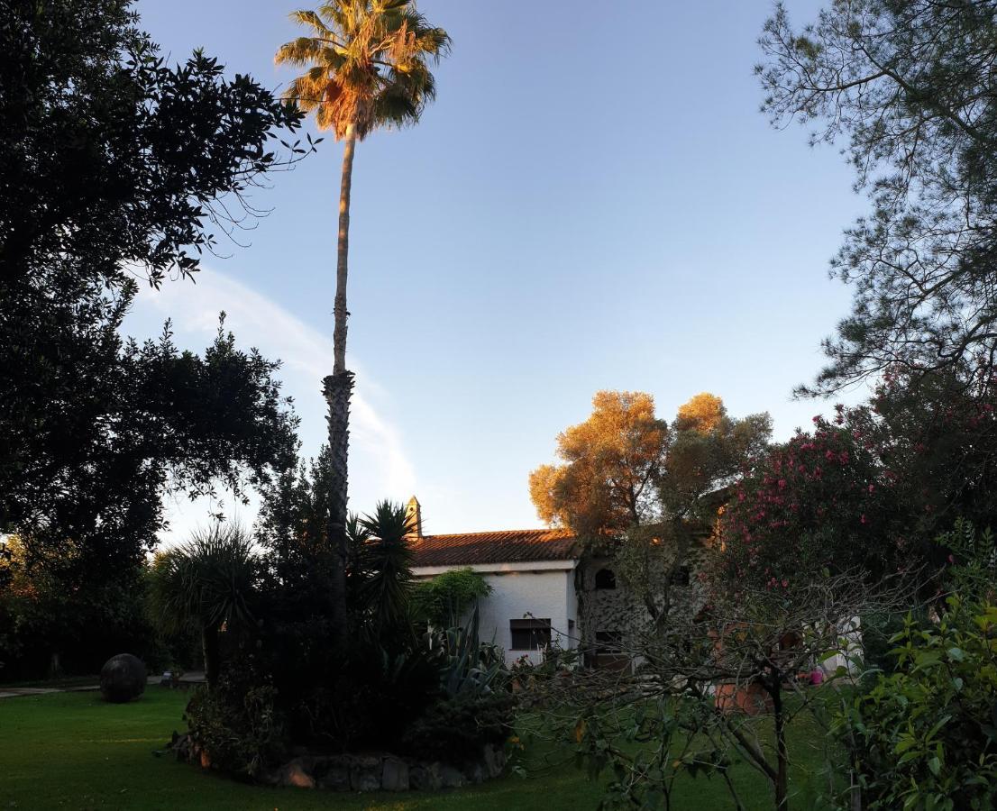 La Casa Del Torreon Bed & Breakfast