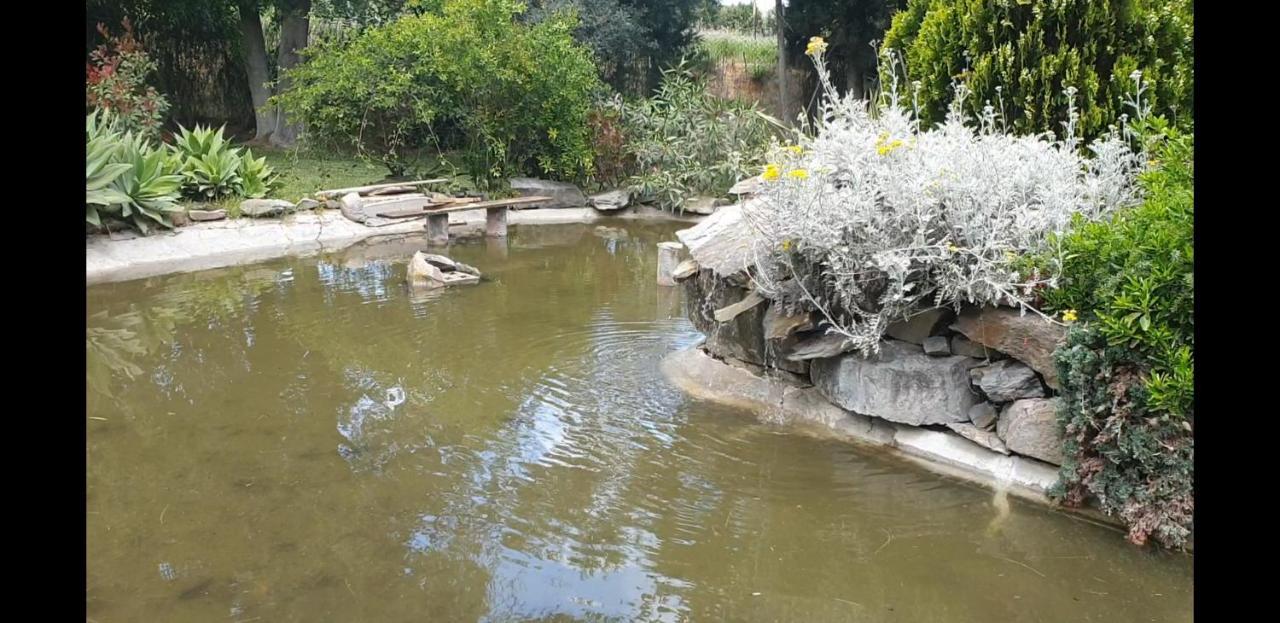 La Casa Del Torreon Bed & Breakfast *