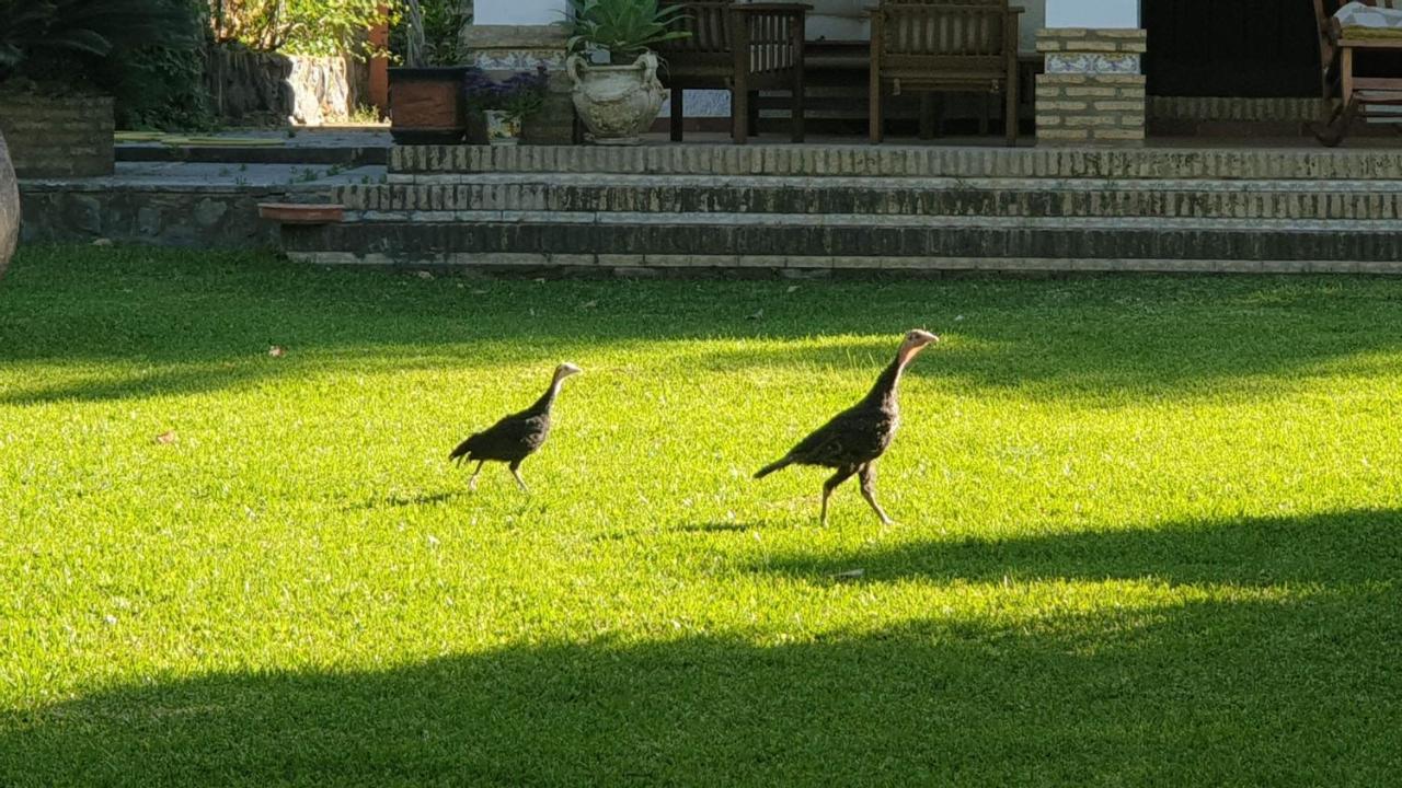 Frühstückspension La Casa Del Torreon *